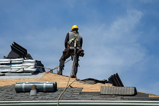 Professional Gutter Installation technician working in Royston, GA